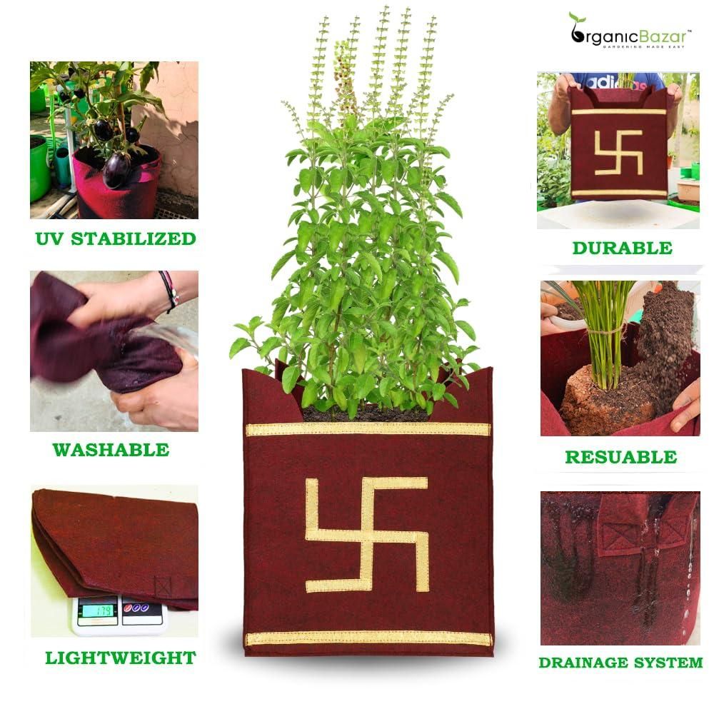 Tulsi Grow Bag