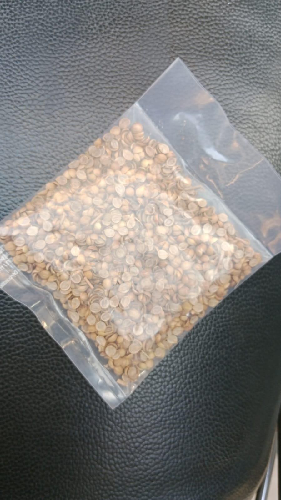 Organic Coriander Seeds