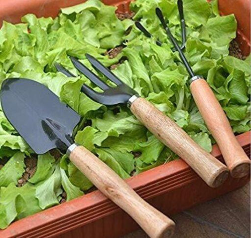 3-Piece Gardening Tool Set