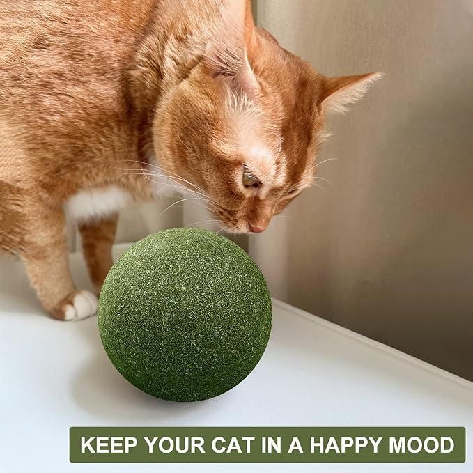 Catnip Mint Ball Toy