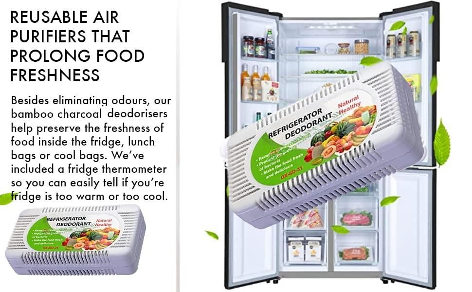 Refrigerator Odor Eliminator