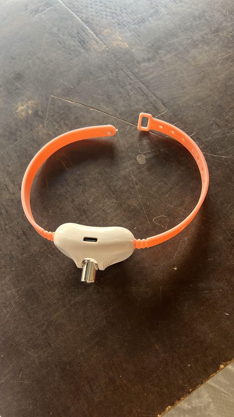 Pet Laser Collar Teasing Toy