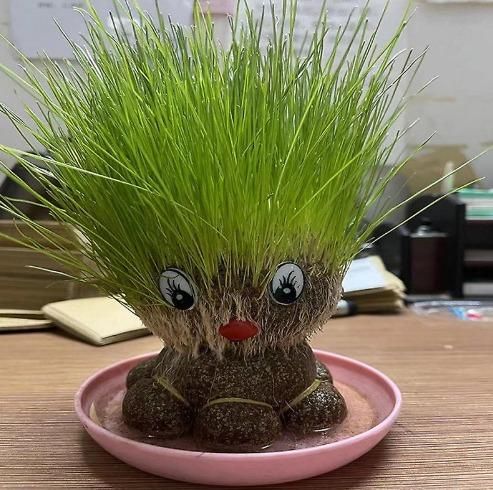 Octopus Grass Grow Pots