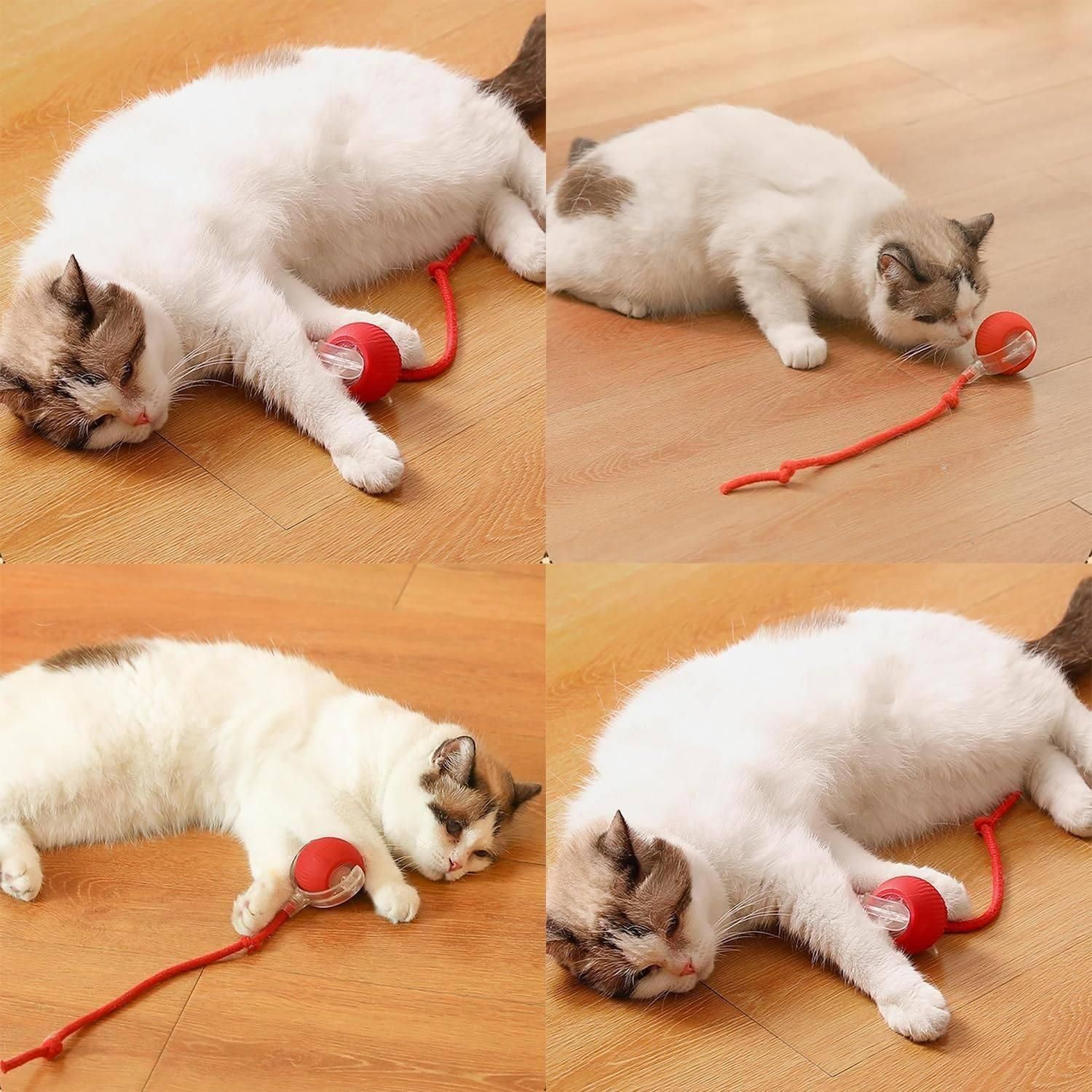 Viral Rolling Cat Toy
