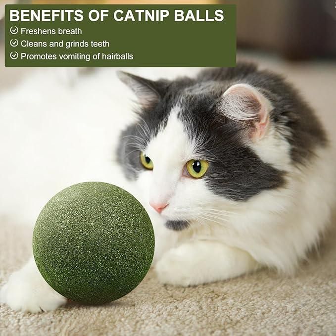 Catnip Mint Ball Toy