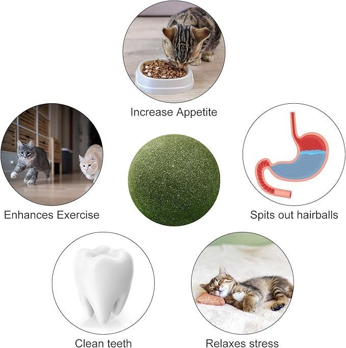 Catnip Mint Ball Toy