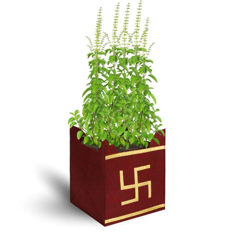 Tulsi Grow Bag