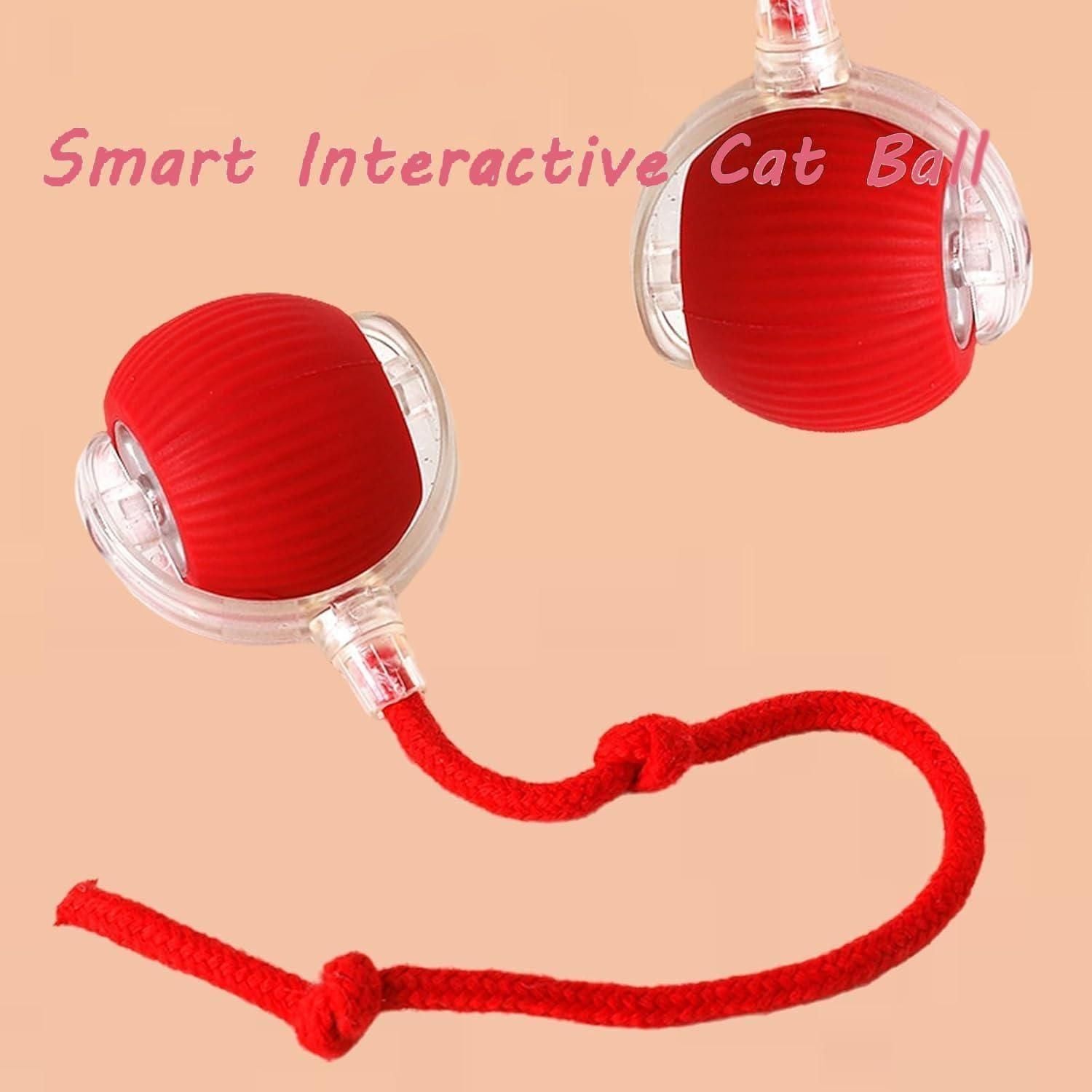 Viral Rolling Cat Toy