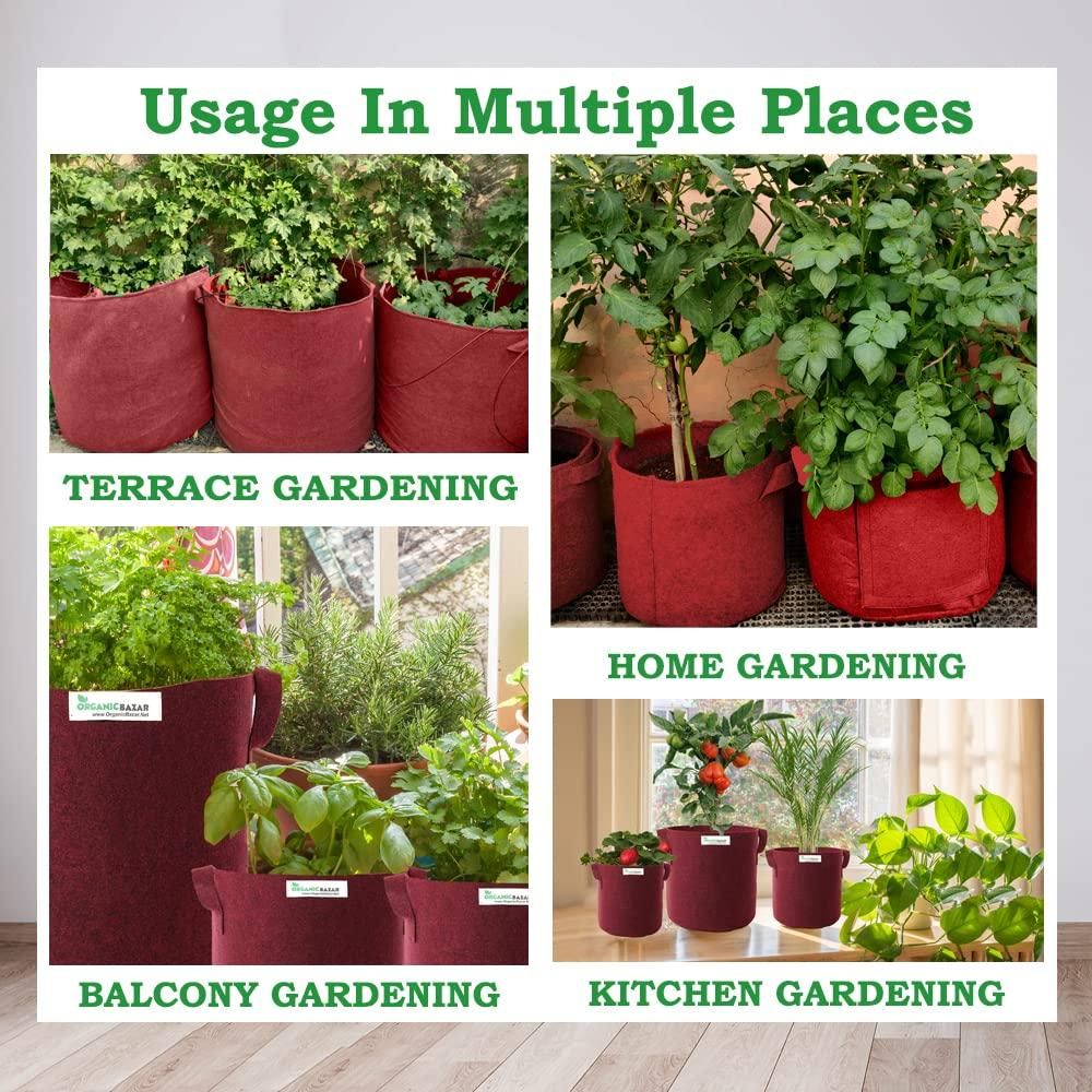 Tulsi Grow Bag