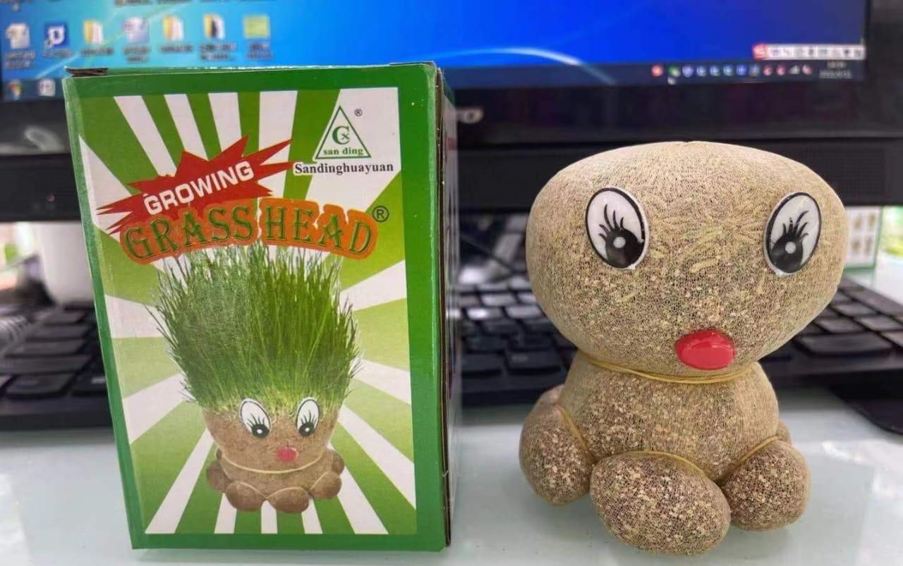 Octopus Grass Grow Pots