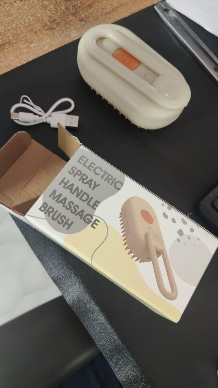 Pet Steam Brush