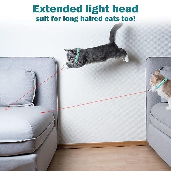 Pet Laser Collar Teasing Toy
