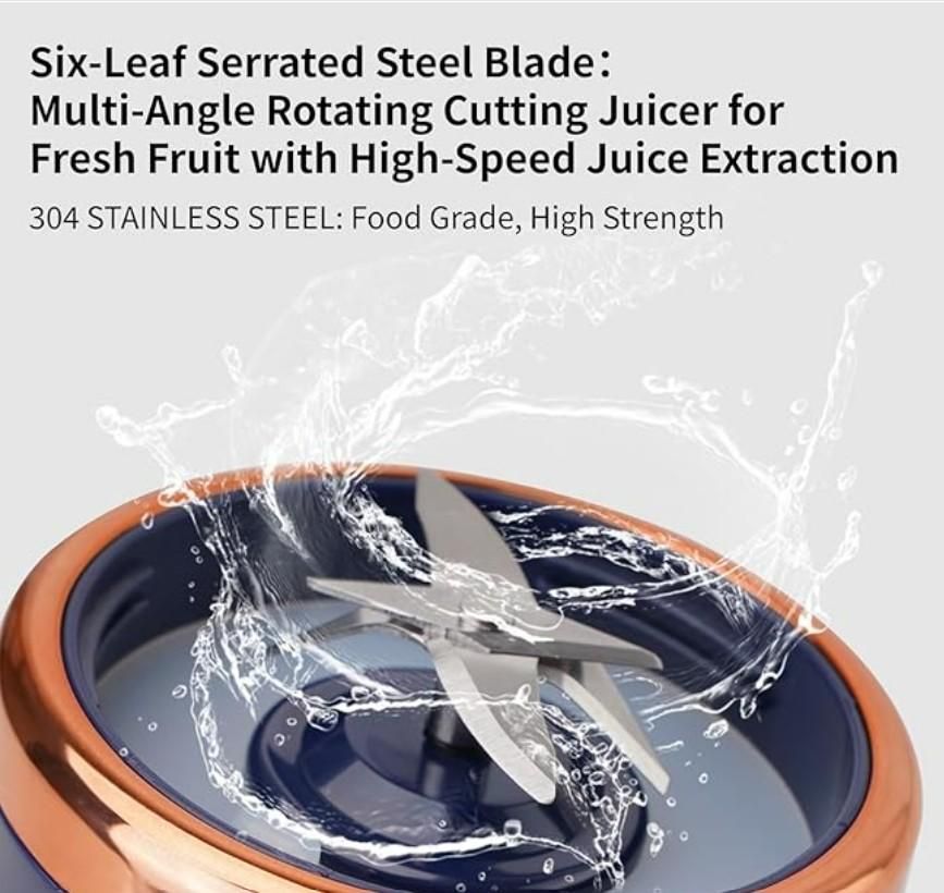 Portable Multi-Function Juicer