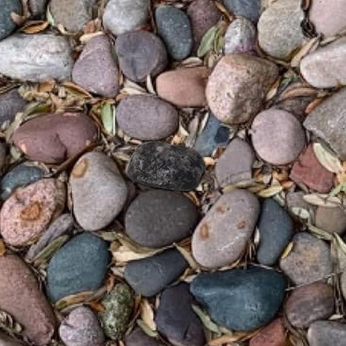 Outdoor Key Hiding Rock