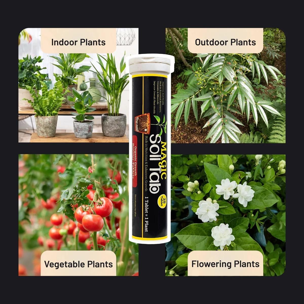 Magic Plant Soil Tablets