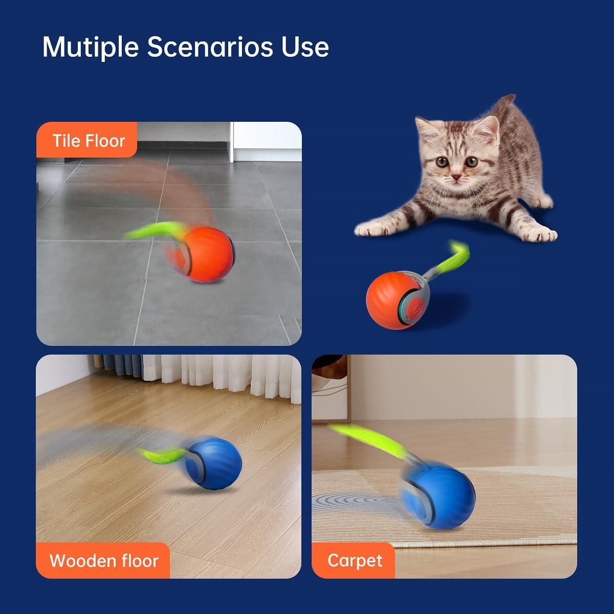Rolling Ball Cat Teaser