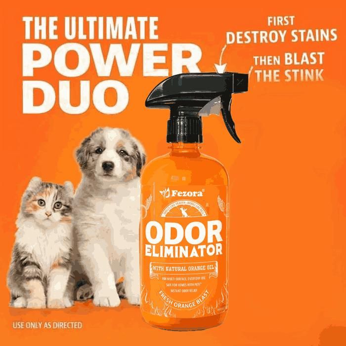 Fezora Fresh Orange Odor Eliminator