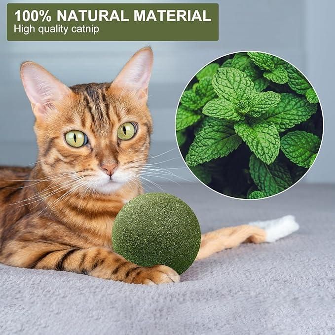 Catnip Mint Ball Toy