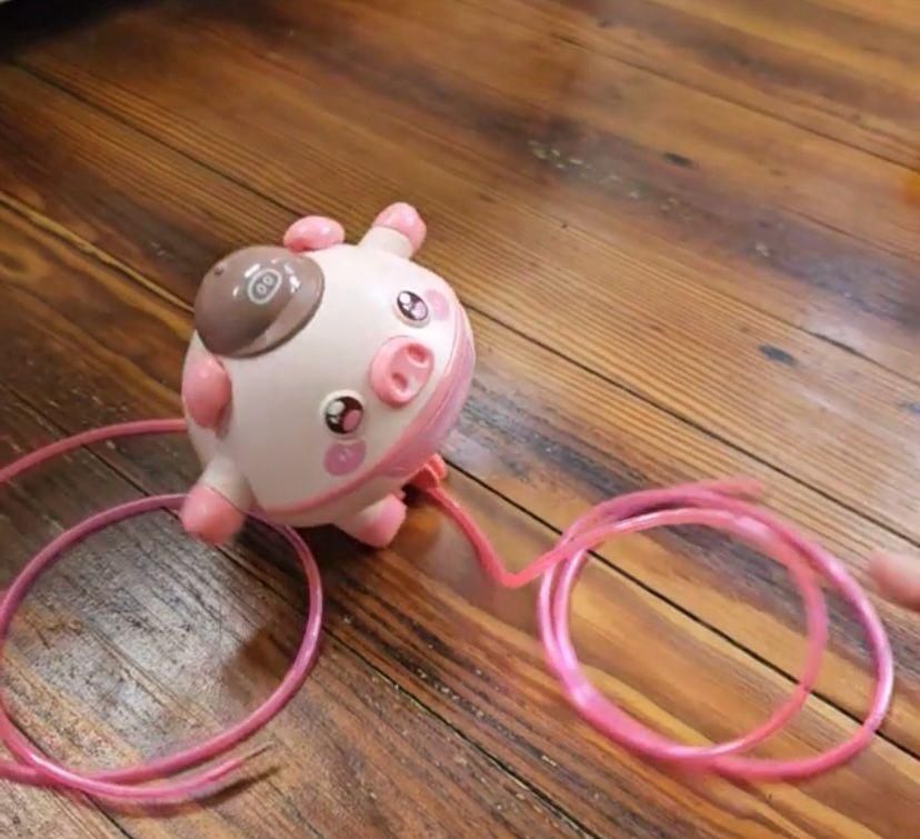 Piggy Tightrope Walker