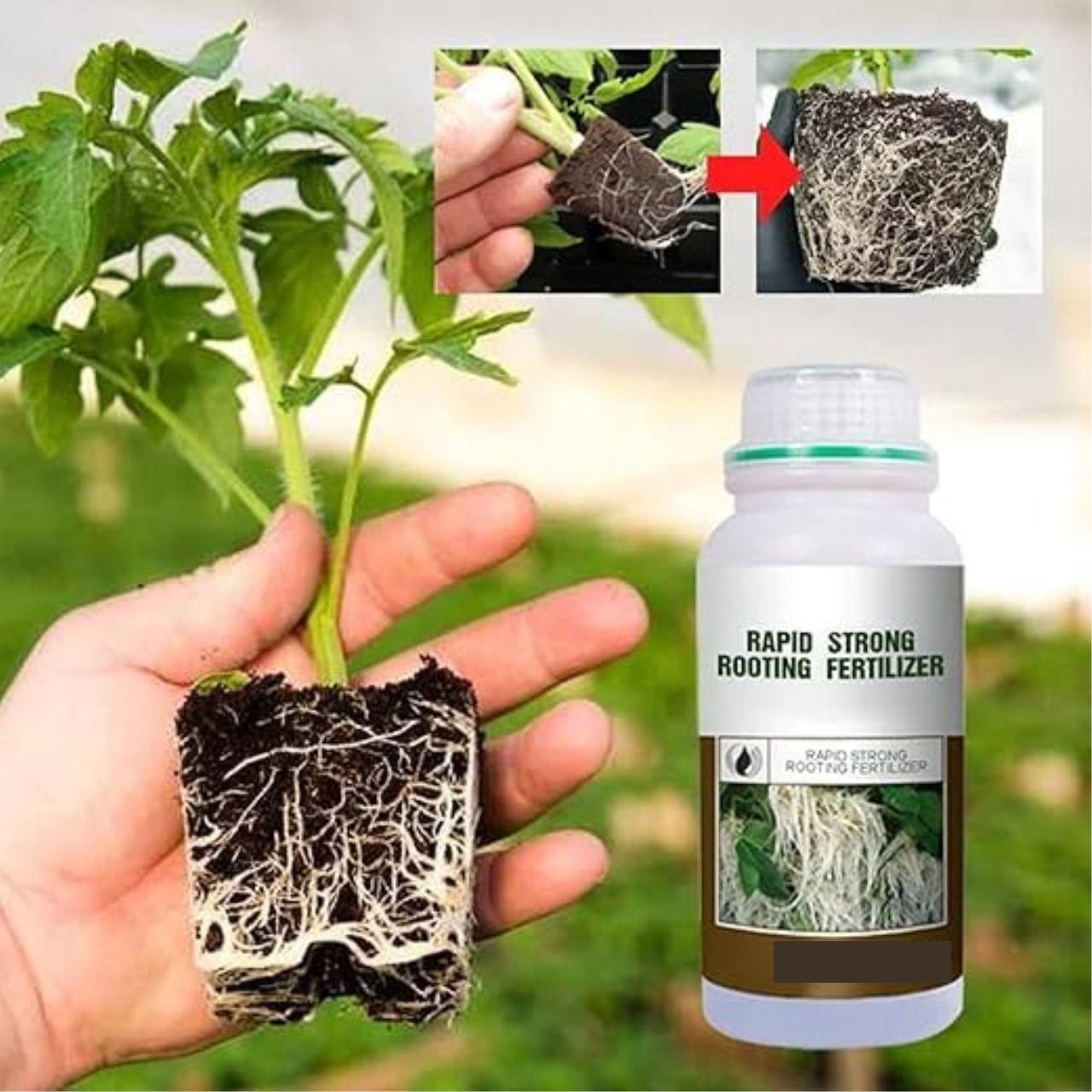 Rapid Root Fertilizer