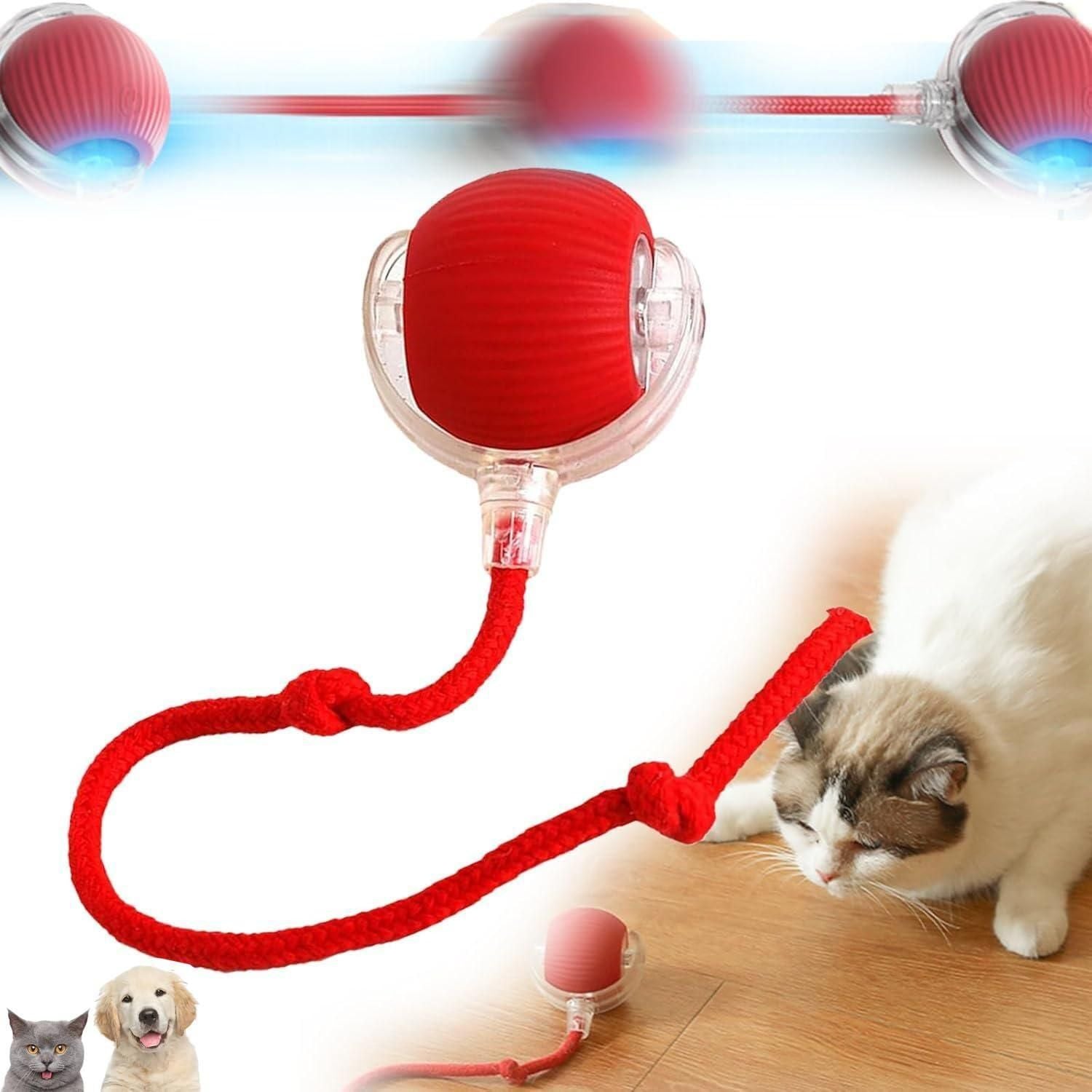 Viral Rolling Cat Toy